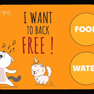 مت ظرف آب و غذا